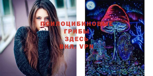 героин Богданович