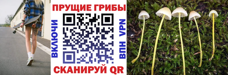 Галлюциногенные грибы MAGIC MUSHROOMS  Кирово-Чепецк 
